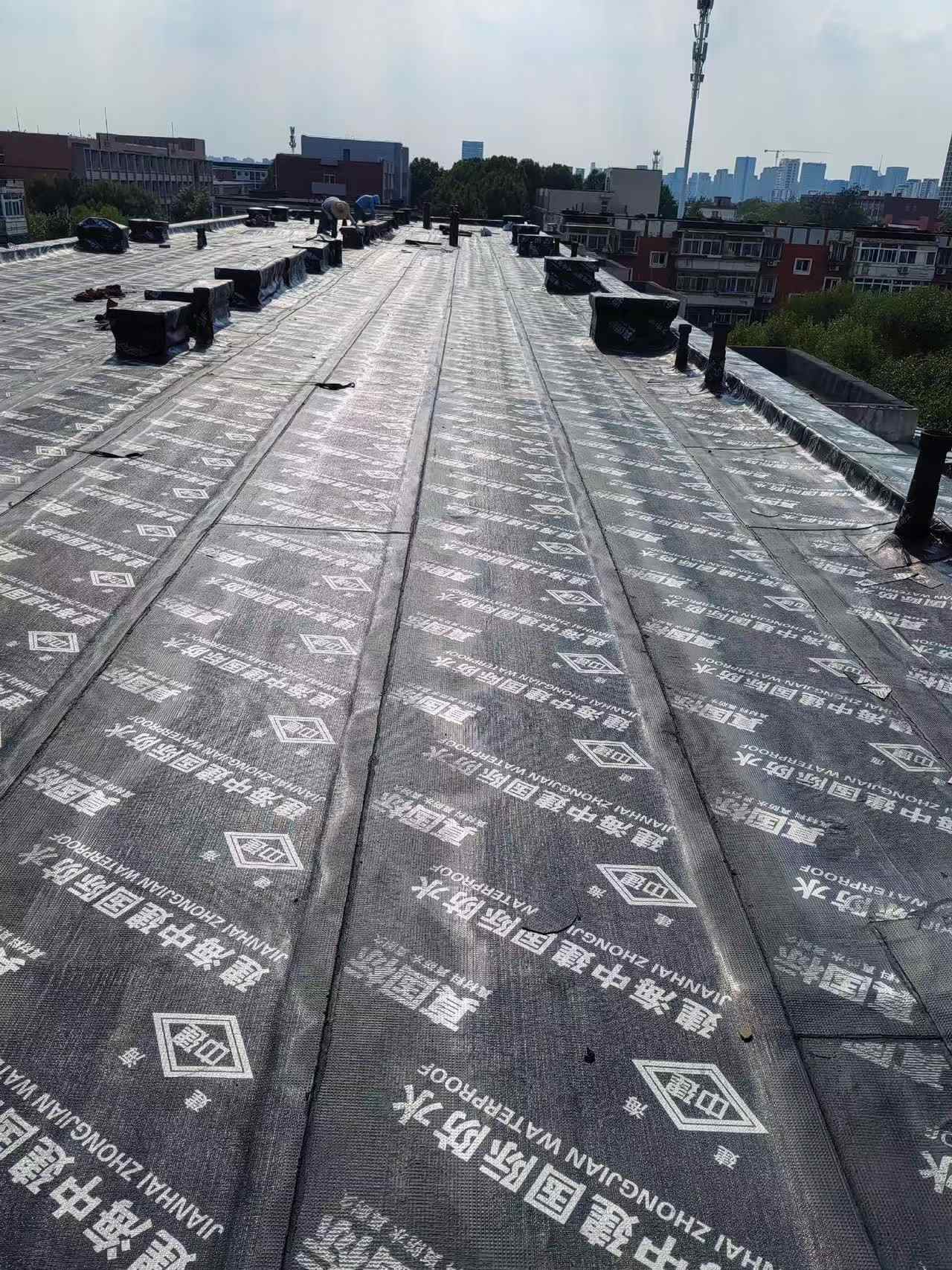 微信图片_20260325162816